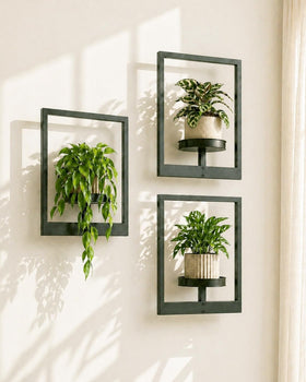 Bamworld picture-frame plant shelves showcase plants as living art.