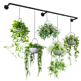 Bamworld plant hanger 70in extension creates a spacious window display for multiple plants.