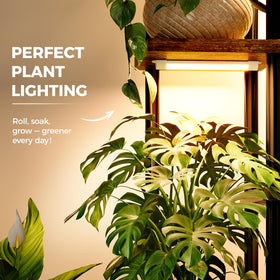 Bamworld plant stand 7-tier shelves keeps many plants organized in small spaces.