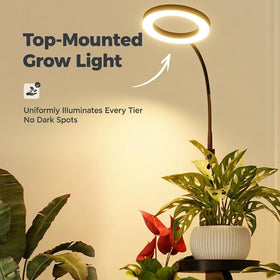 Bamworld corner setup with grow light showcasing compact shelving