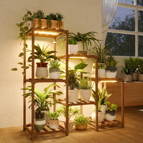 Bamworld plant stand with grow light illuminates seedlings for healthy growth