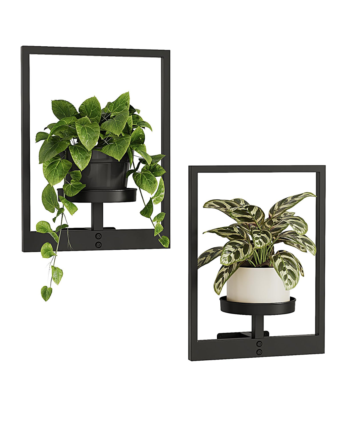 Bamworld plant stand wall decor black two pack elevating vertical greenery