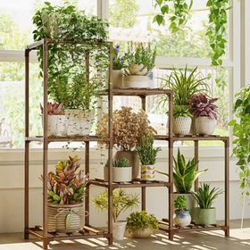 Bamworld display with multiple tiers for herbs and succulents.