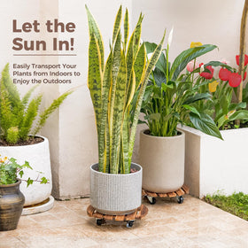 Bamworld rolling planter caddy in a 4-pack for flexible layouts.