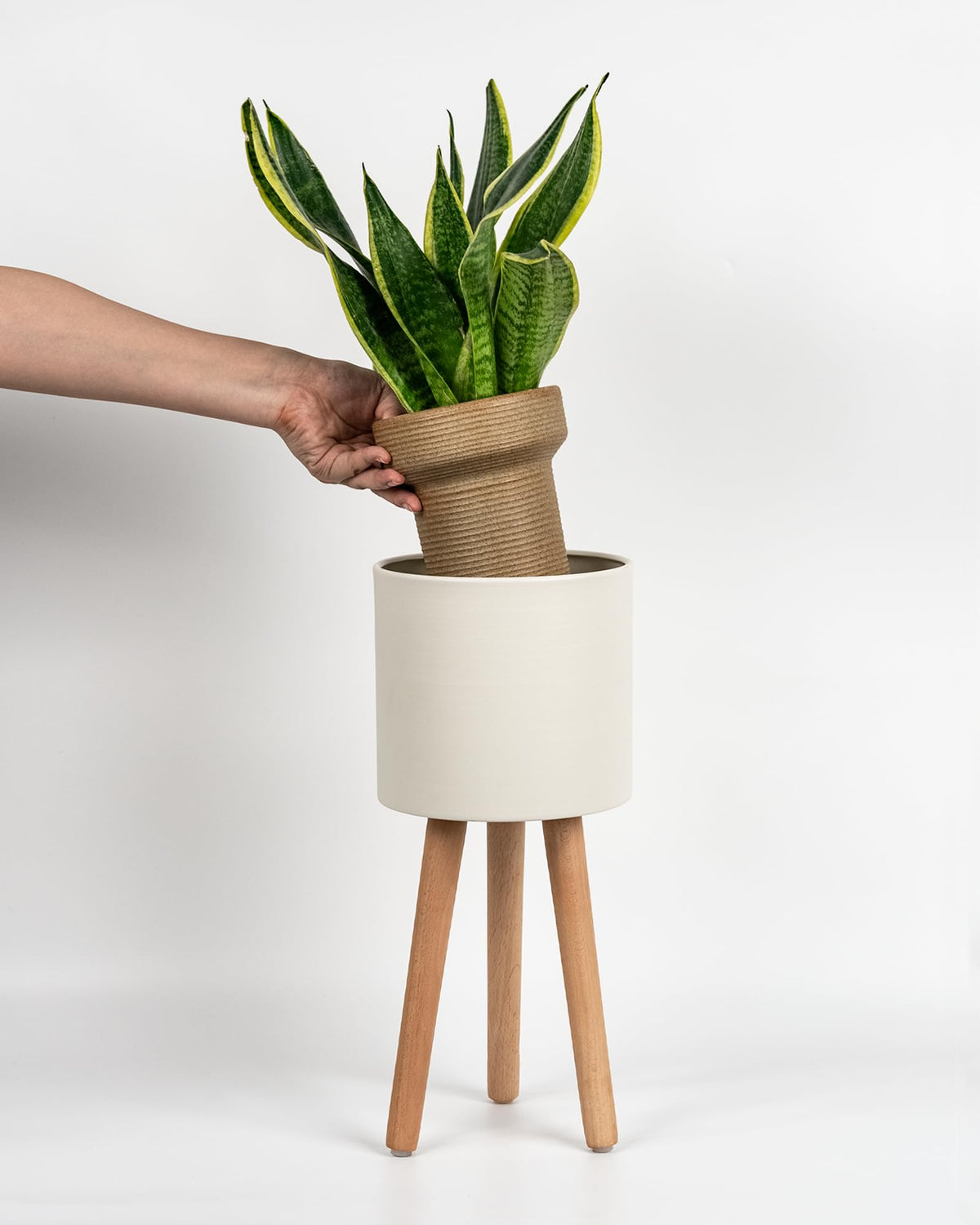 Bamworld single plant holder with iron pot enhances indoor display.