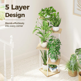 Bamworld five-tier plant rack showcases succulents and blooms.