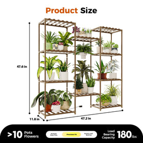 Bamworld versatile plant display fits living rooms, patios, and offices