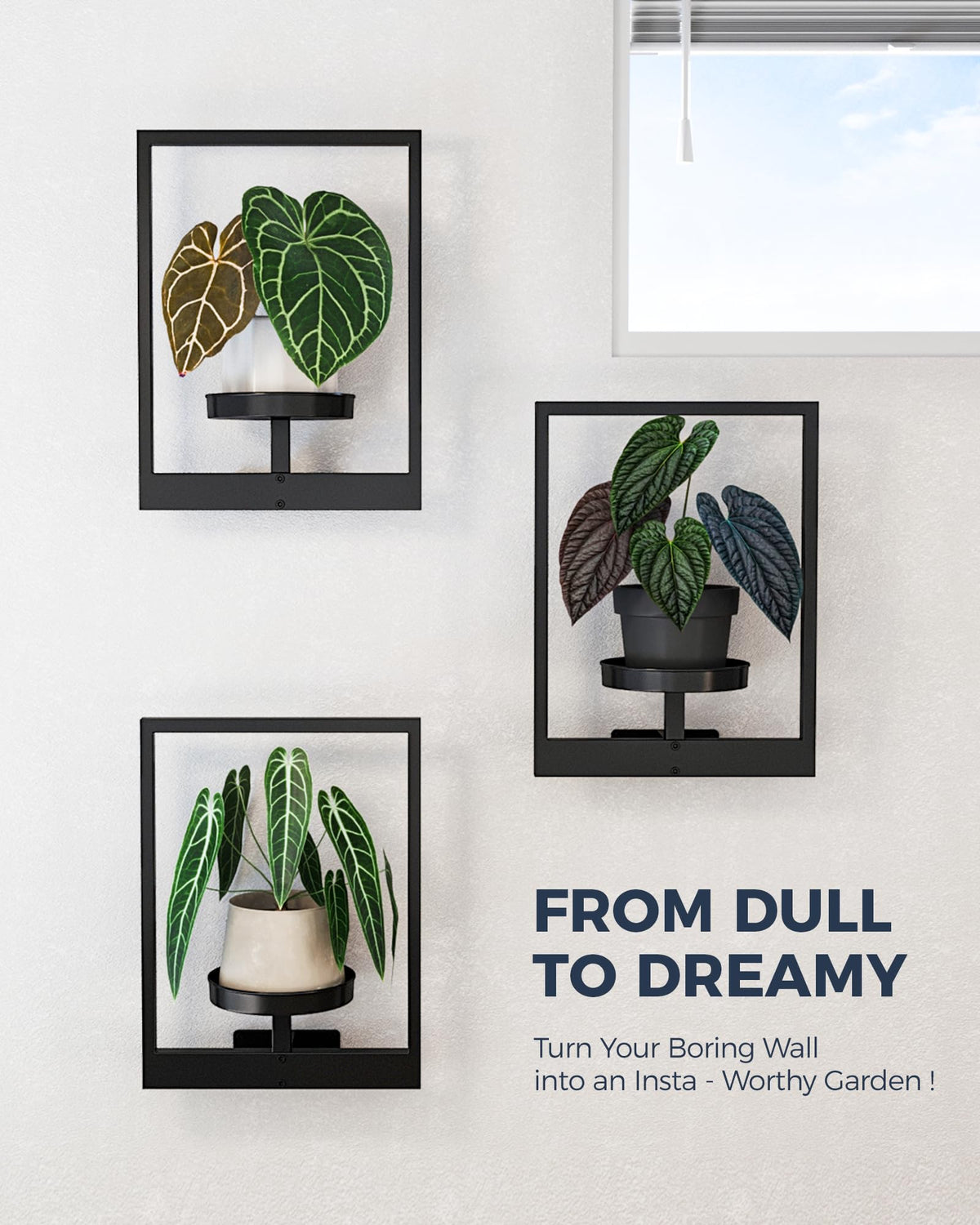Bamworld vertical garden wall display maximizes space and greenery.
