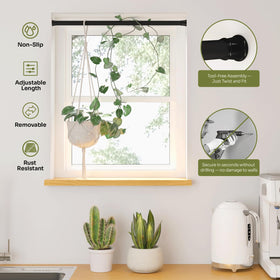 Bamworld vertical space-saving display turns windows into a vibrant plant wall.