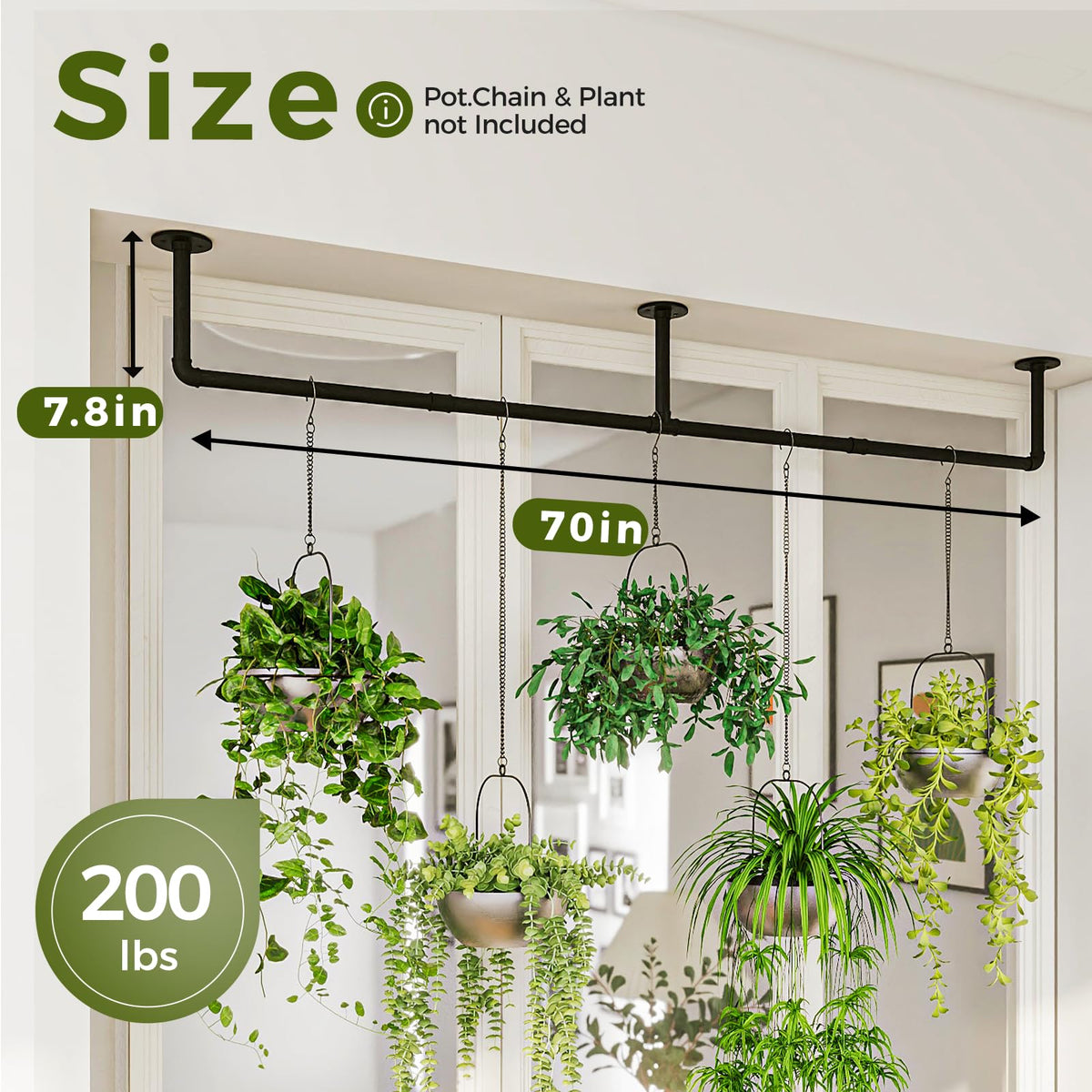 Bamworld wall-ceiling plant bar helps maximize space in compact living areas.