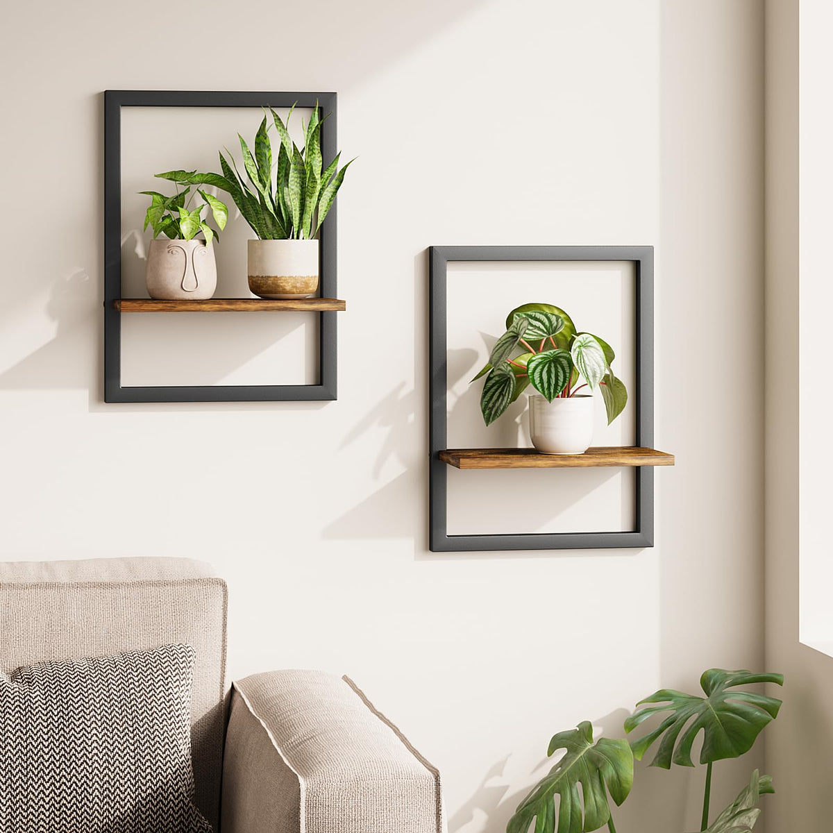 Bamworld wall plant holder closeup showcases sleek black frame for stylish indoor greenery.