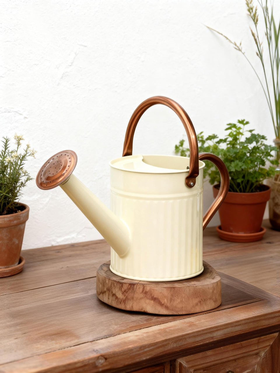 Bamworld watering can with detachable spout for versatile indoor and outdoor use