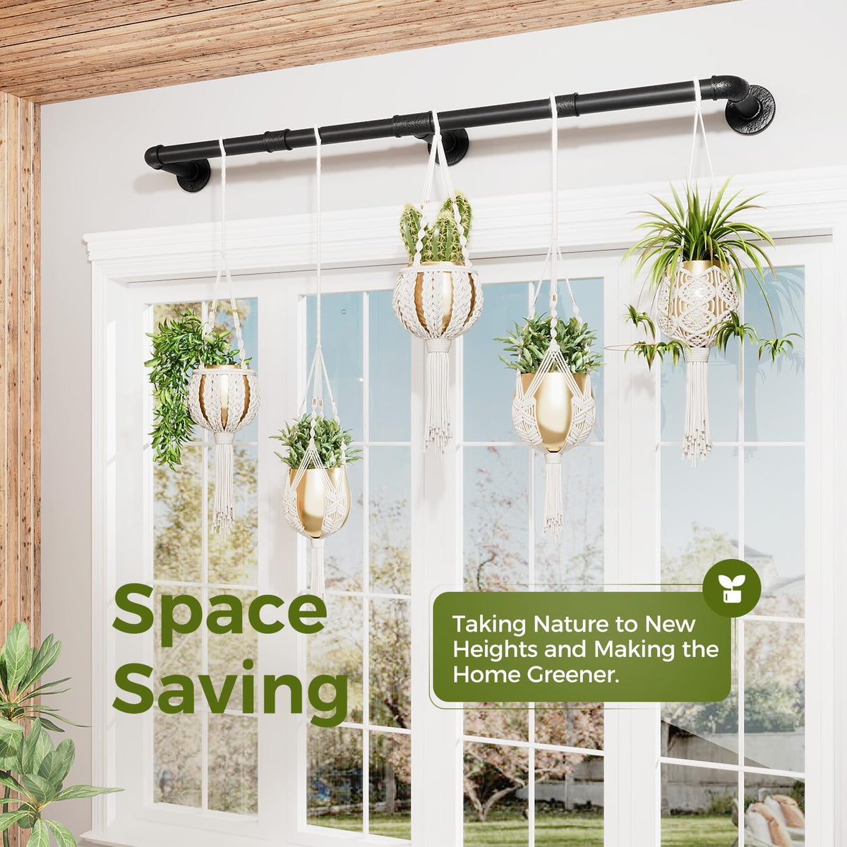 Bamworld indoor decor setup with plants on a wall mounted hanger