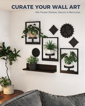Bamworld window-sill plant display brightens sunlight-ready corners.