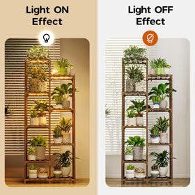 Bamworld wooden plant display rack in living room corner.