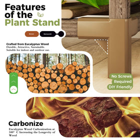 Bamworld living-room balcony display elevates greenery with stylish yet practical design.