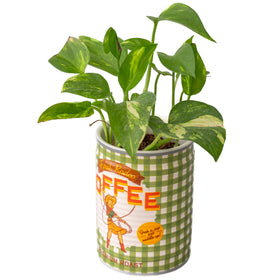 ban.do coffee can planter with drainage hole for moisture control