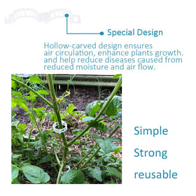 Bandelt Vertical gardening setup using overhead hooks for indoor or outdoor use.
