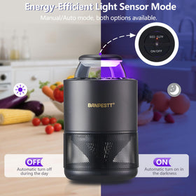 BANPESTT suction-fan traps gnats quietly near fruit bowls.