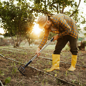 BARAYSTUS tool digs small trenches and harvests shallow roots