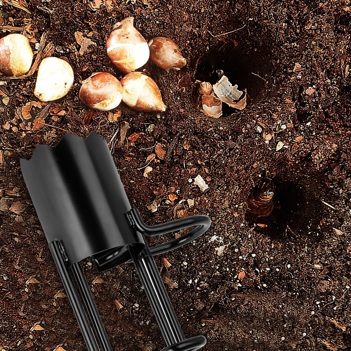 BARAYSTUS easy-install tulip planter quickly creates holes for bulbs.