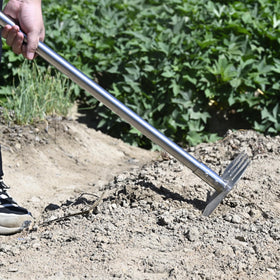 BARAYSTUS garden hoe in action weeding and moss removal on garden beds