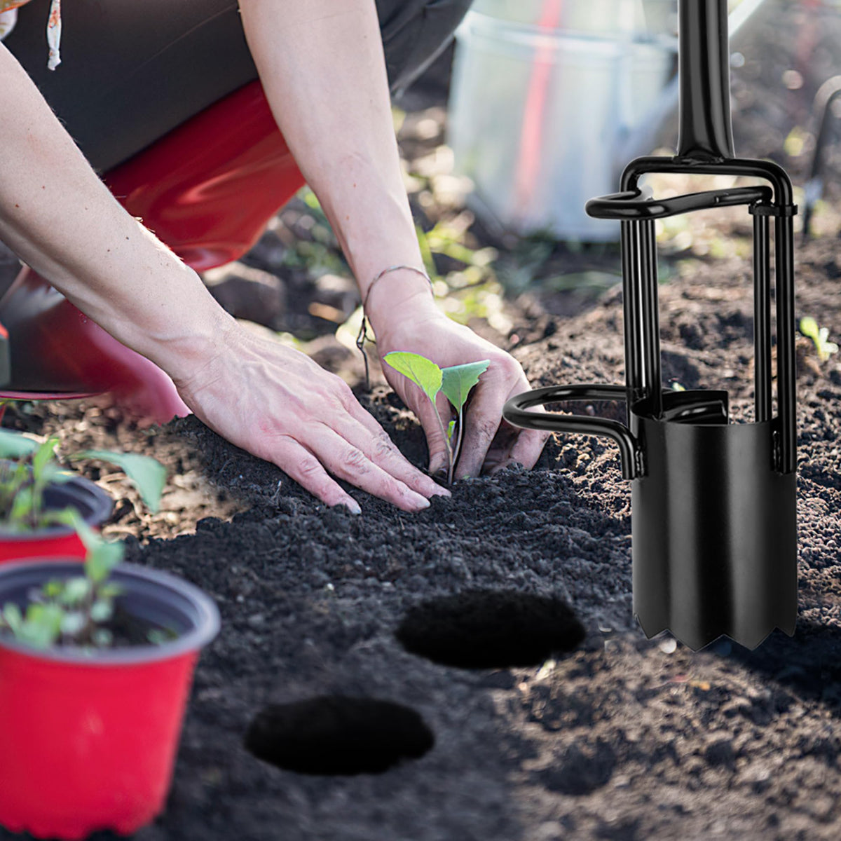 BARAYSTUS versatile bulb tool for digging, loosening, and bed tidying.