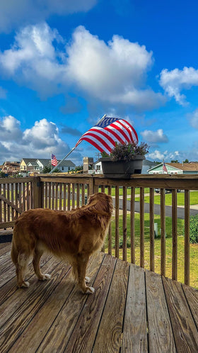 Barcetine flag pole no-bracket design offers versatile placement options.