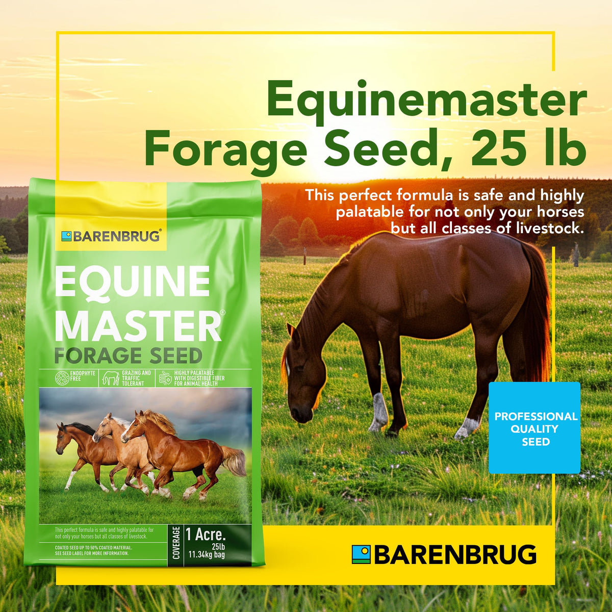 Barenbrug Pasture Seed spread on soil highlights rapid establishment and field readiness.