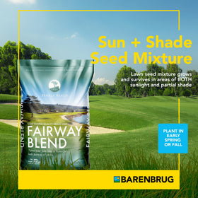 Barenbrug Pebble Beach sun-shade seed mix promotes versatile growth in light and partial shade.