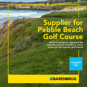 Barenbrug Pebble Beach traffic-resilient blend stands up to heavy wear for durable lawns.