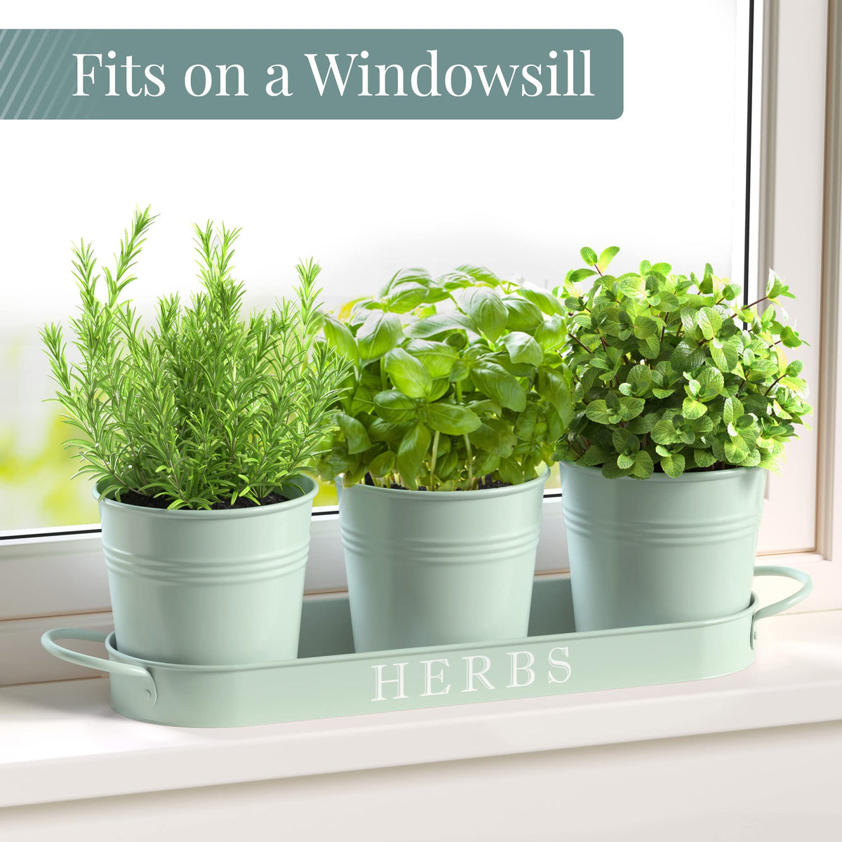 Three-piece mint pot set keeps herbs organized on your kitchen windowsill.