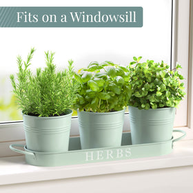Three-piece mint pot set keeps herbs organized on your kitchen windowsill.