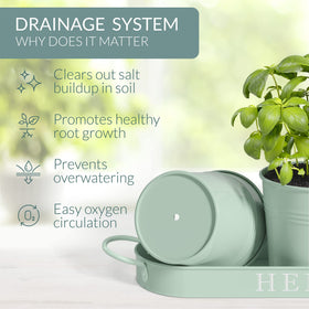 Barnyard Designs drainage holes and tray help manage water and simplify cleanup.