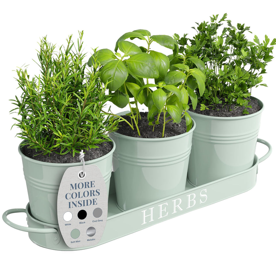Barnyard Designs indoor herb planters on a sunlit windowsill, ideal for fresh herbs.