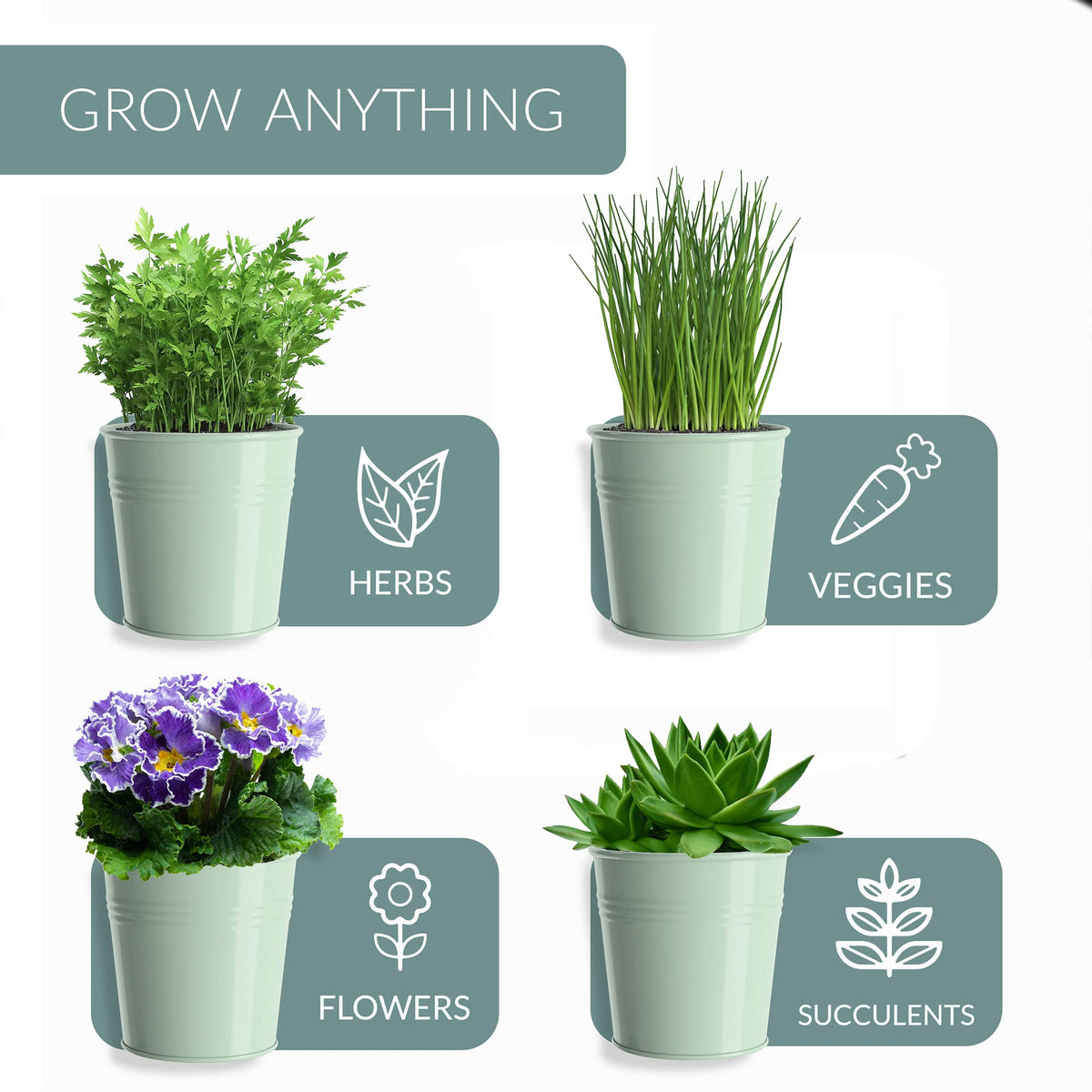 Barnyard Designs kitchen-display ready; compact trio fits tight spaces for fresh herbs.