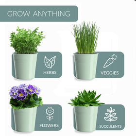 Barnyard Designs kitchen-display ready; compact trio fits tight spaces for fresh herbs.