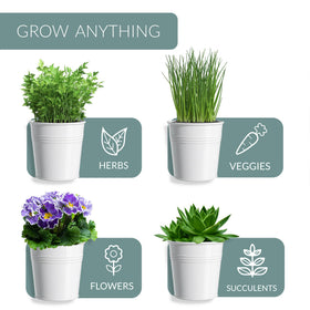 Barnyard Designs versatile planter set fits indoor or outdoor herb display