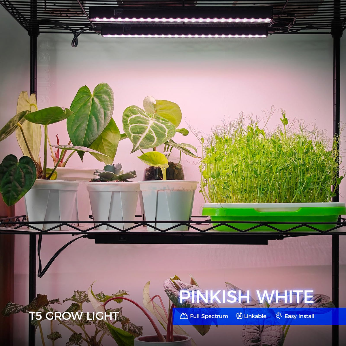 Barrina 1ft grow light showing compact design with magnetic mount for easy setup.