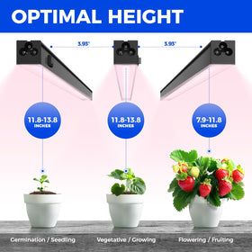 Barrina 1ft grow light with separate on/off switch for independent control.