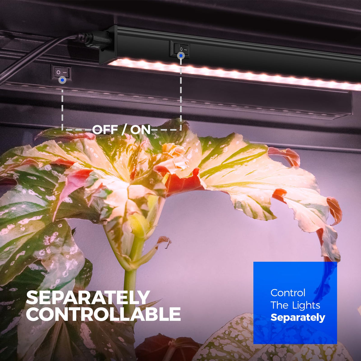 Barrina 1ft pinkish white LEDs delivering bright spectrum for seedlings.