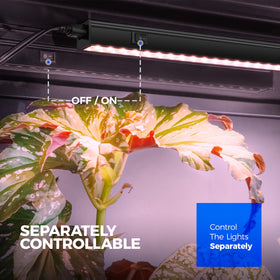 Barrina 1ft pinkish white LEDs delivering bright spectrum for seedlings.