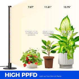 Barrina CRI 89 provides accurate color rendering for plant monitoring.
