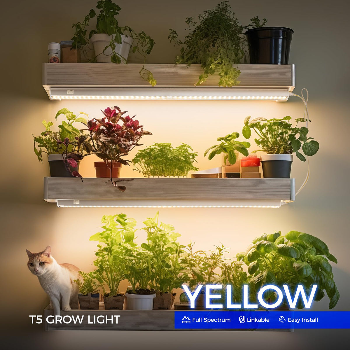 Barrina four-pack T5 LED grow lights provide comprehensive indoor plant lighting.
