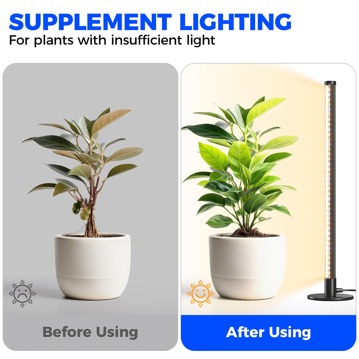 Barrina grow light with an on/off switch for easy control.