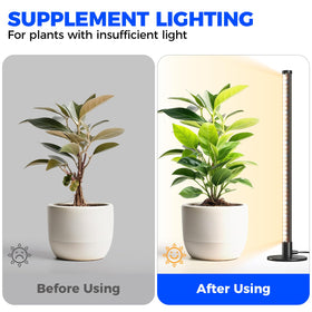 Barrina grow light with an on/off switch for easy control.