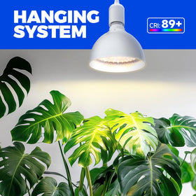 Barrina indoor bonsai light suitable for tall plants with even coverage