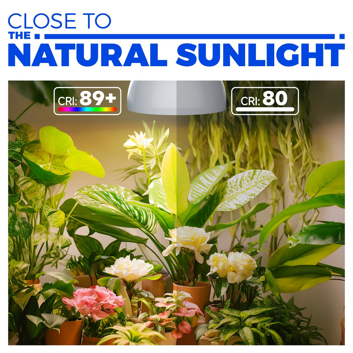 Barrina LED plant light with CRI 89 for accurate color rendering