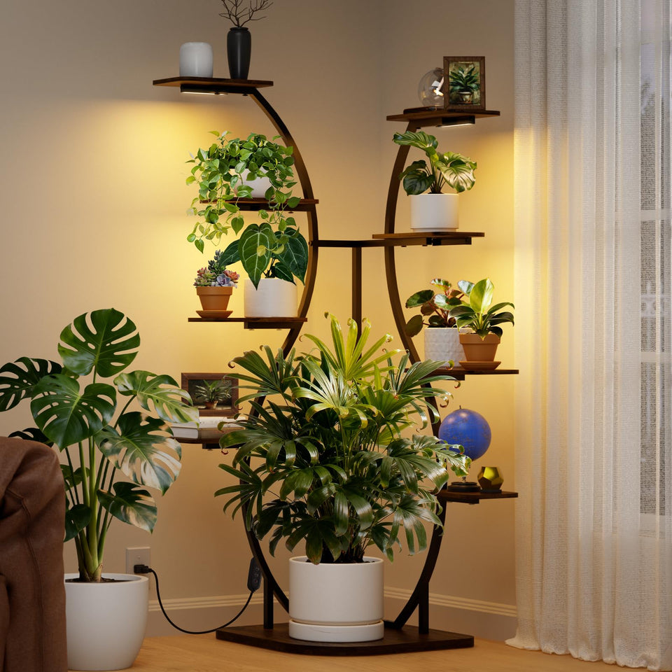Barrina LS12 s-shape stand enables a tall, space-saving plant display.