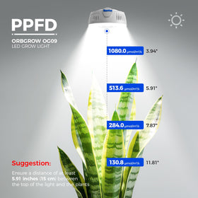 Barrina Orbgrow OG09 puck grow light compact design fits shelves.